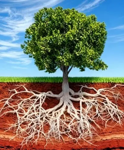 consulenza marketing eventi